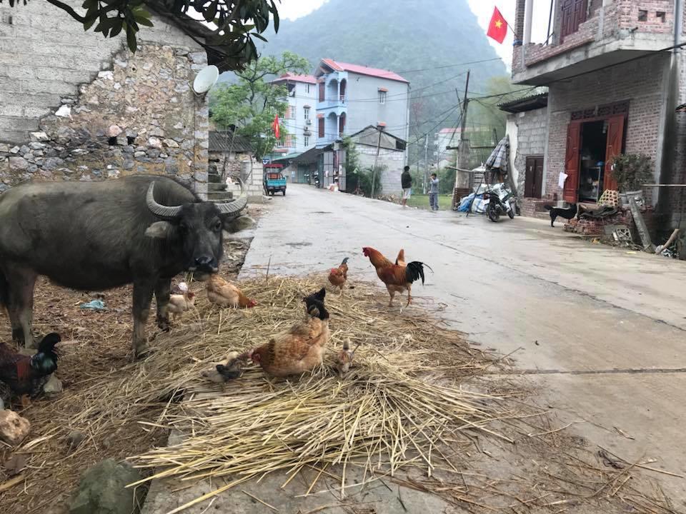 קאו באנג A Sy Ban Gioc Homestay - Lang Da Khuoi Ky מראה חיצוני תמונה